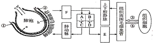 图片_x0020_100010