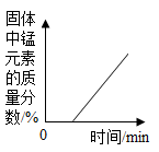 图片_x0020_100010