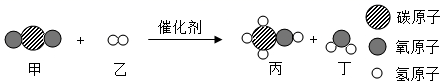 图片_x0020_100010