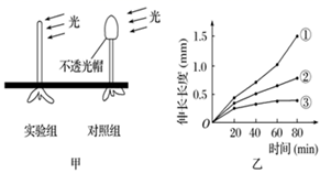 图片_x0020_100001