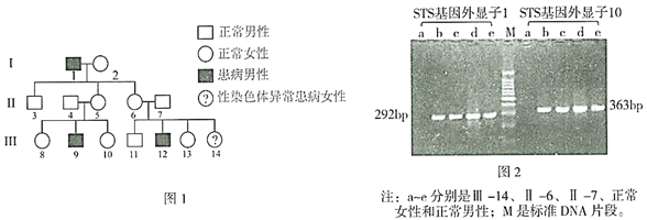 图片_x0020_100012