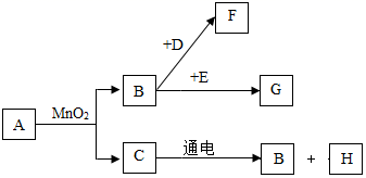 图片_x0020_100019