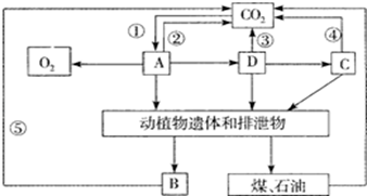 图片_x0020_100005