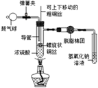 图片_x0020_17515067